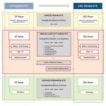 Umzugsmanagement für Bauherrn. Prevera