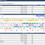 Analyse und Reporting_PREVERA_Tool